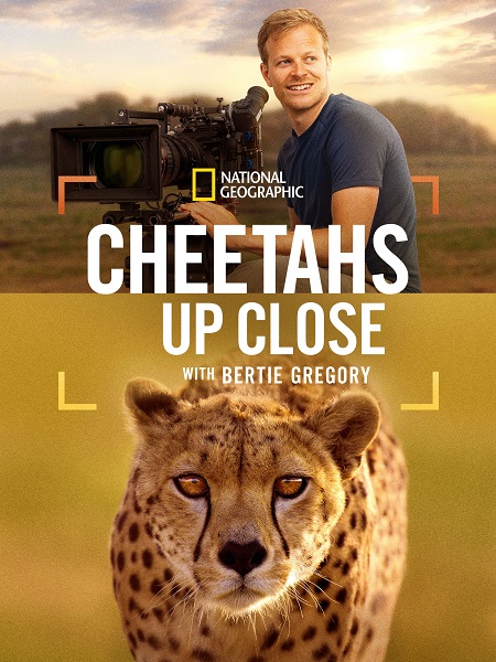 مشاهدة اونلاين فيلم Cheetahs Up Close with Bertie Gregory 2026 مترجم